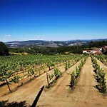 Villa Quinta Da Eira Douro Valley Fermentoes (Vila Real)
