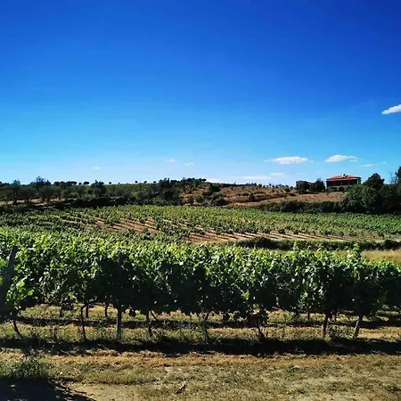 Vila Quinta Da Eira Douro Valley Fermentoes (Vila Real)