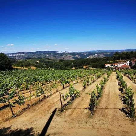 Vila Quinta Da Eira Douro Valley Fermentoes (Vila Real)