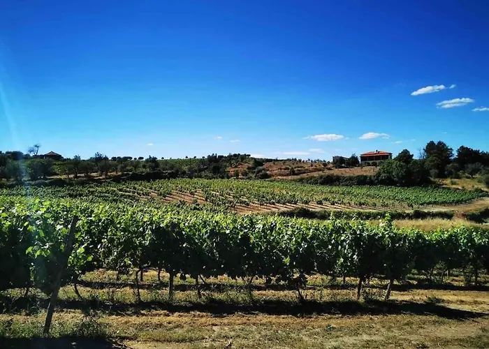 Villa Quinta Da Eira Douro Valley Fermentoes (Vila Real)