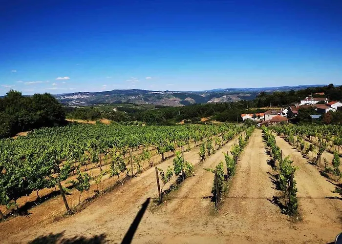 ヴィラ Quinta Da Eira Douro Valley Fermentoes (Vila Real)