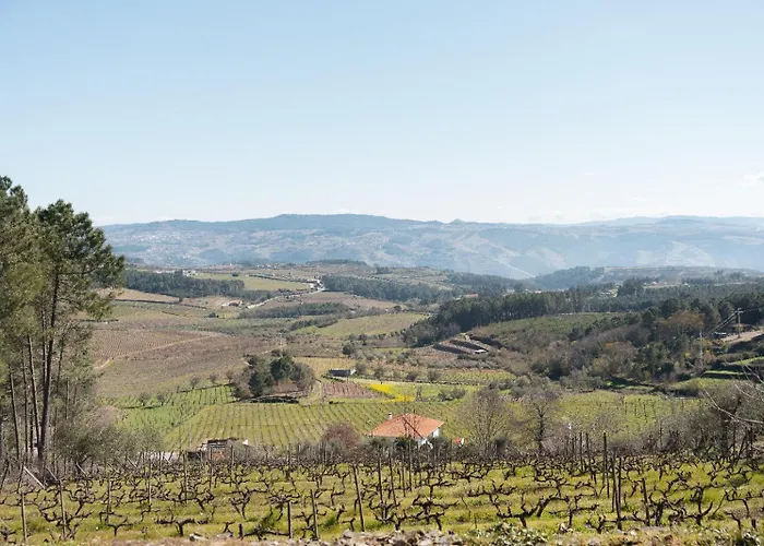 Quinta Da Eira Douro Valley